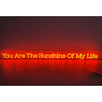 You Are The Sunshine Of My Life - ABC23010